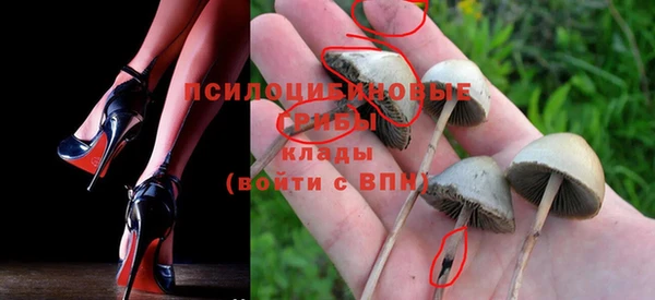 бутират Белокуриха
