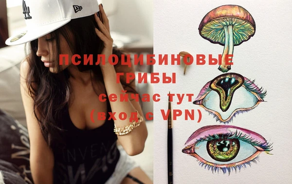 бутират Белокуриха
