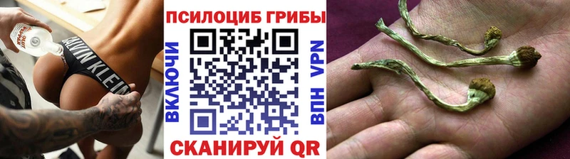 Галлюциногенные грибы прущие грибы  Курчатов 